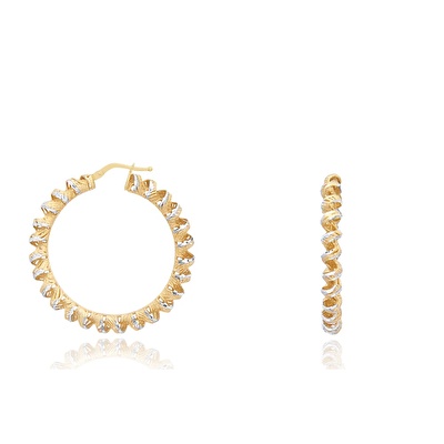 14 Ayar Sarı Altın Burgu Halka Küpe