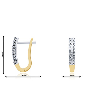 14 Ayar Sarı-Beyaz Altın Taşlı Suyolu Küpe