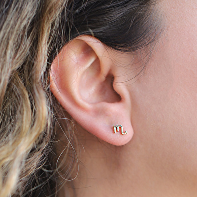 14 Ayar Sarı Altın Akrep Burç Küpe