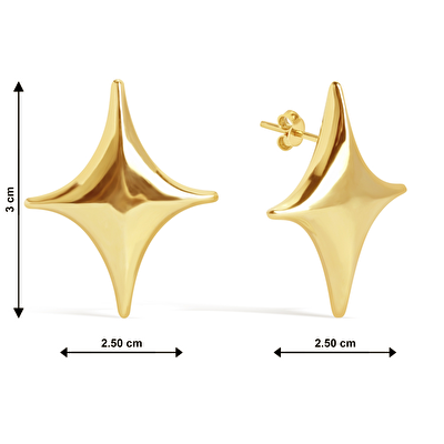 14 Ayar Sarı Altın Kutup Yıldızı Küpe