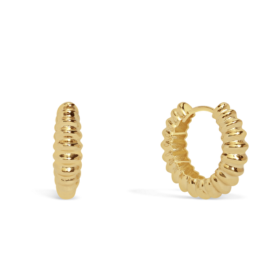 14 Ayar Sarı Altın Burgu Halka Küpe